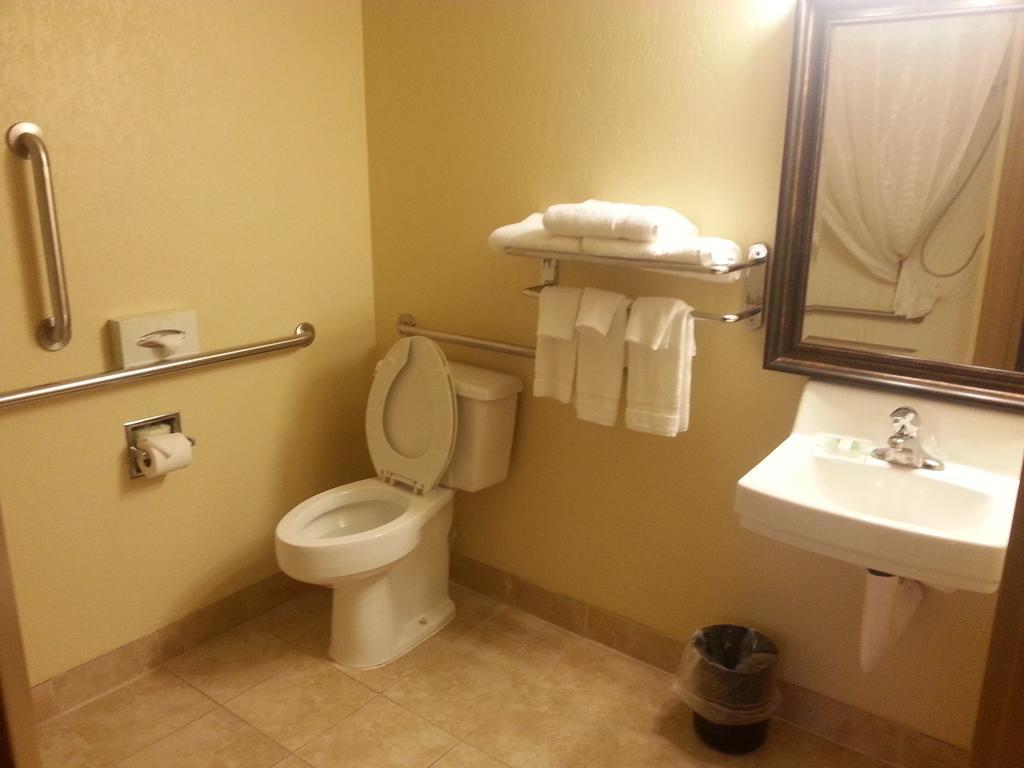 Quality Inn & Suites Saginaw Pokój zdjęcie