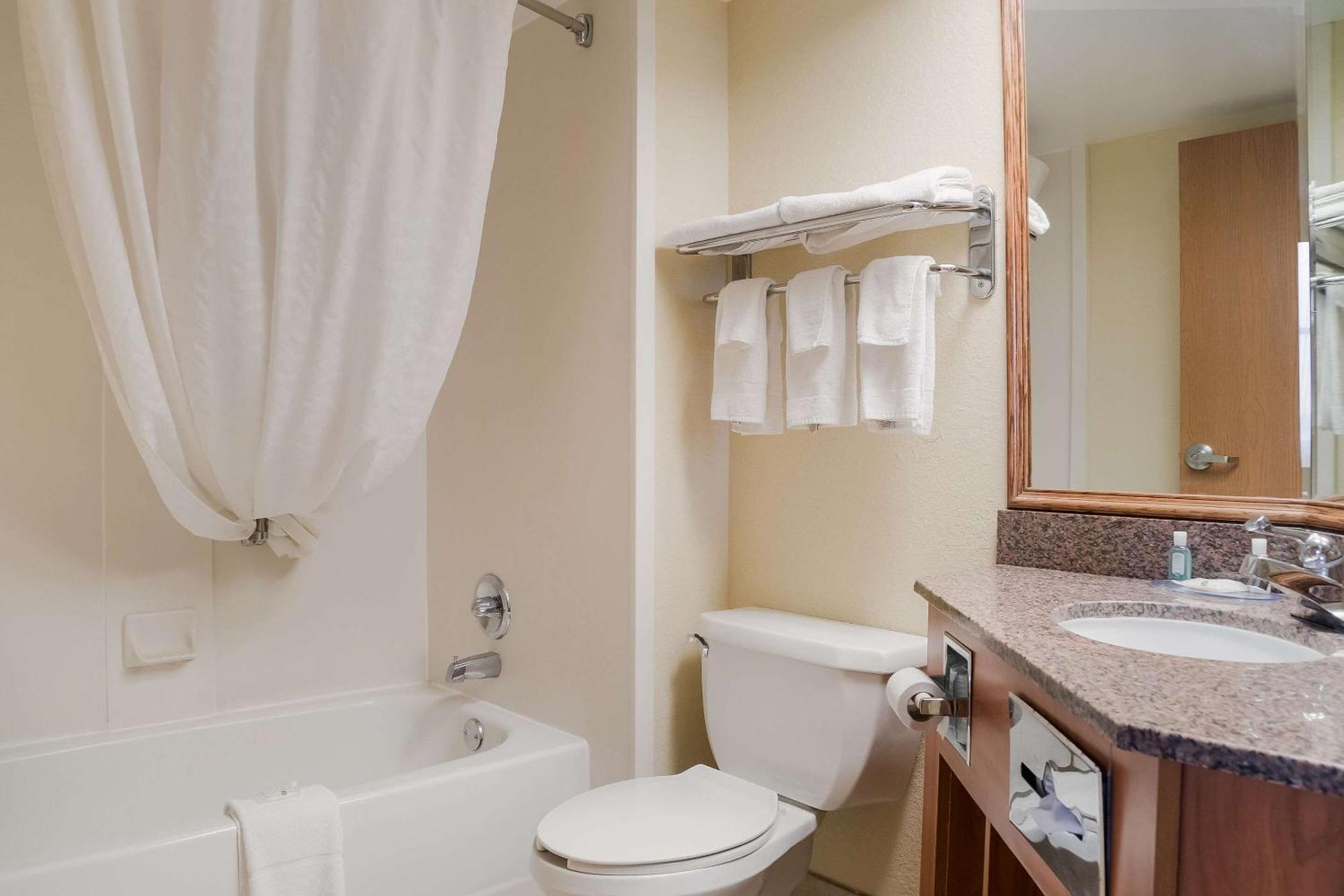 Quality Inn & Suites Saginaw Zewnętrze zdjęcie