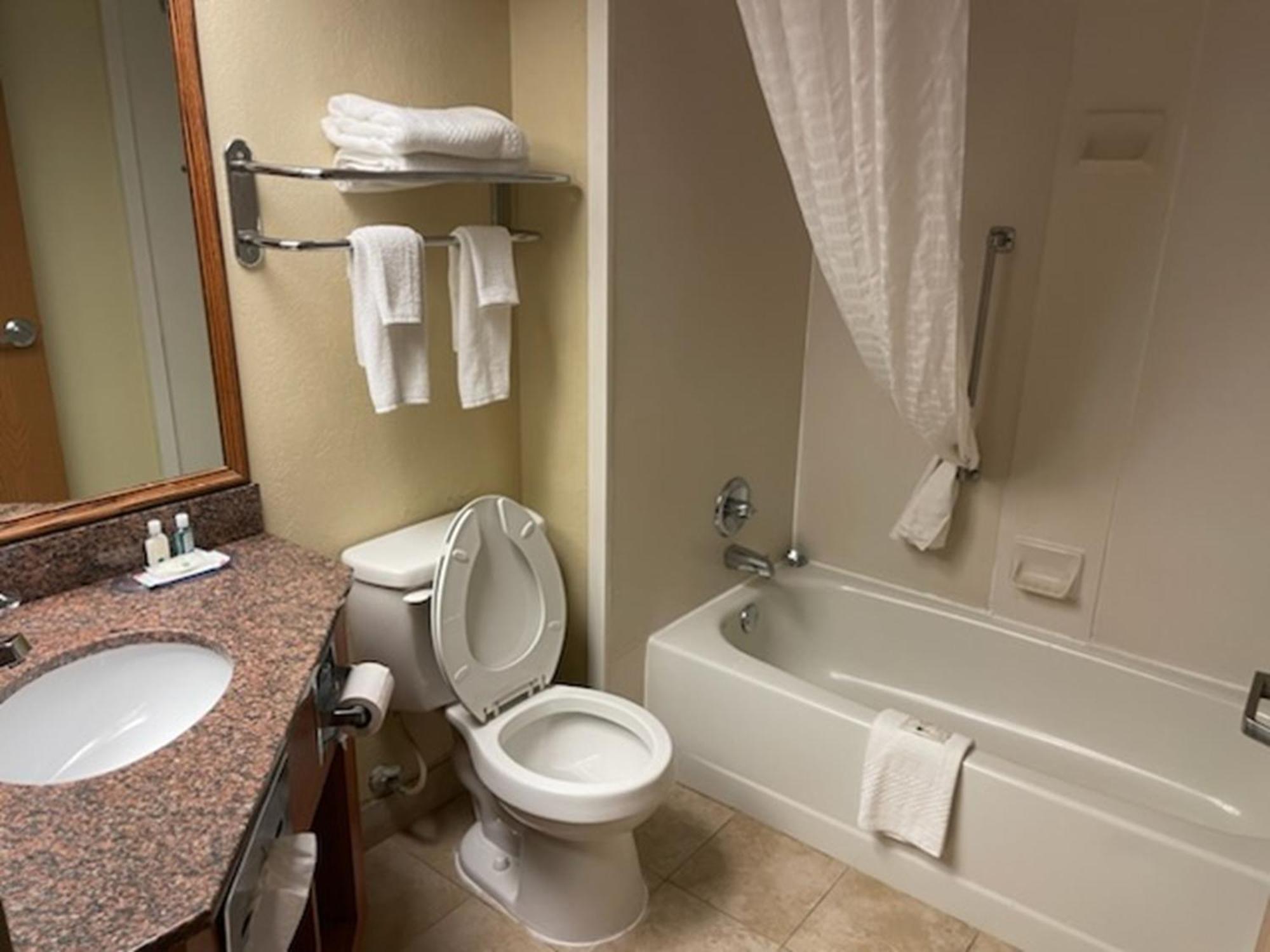 Quality Inn & Suites Saginaw Zewnętrze zdjęcie